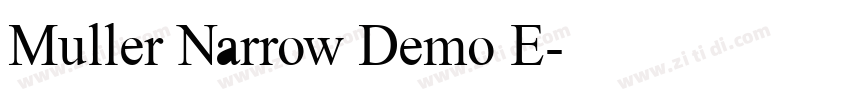 Muller Narrow Demo E字体转换